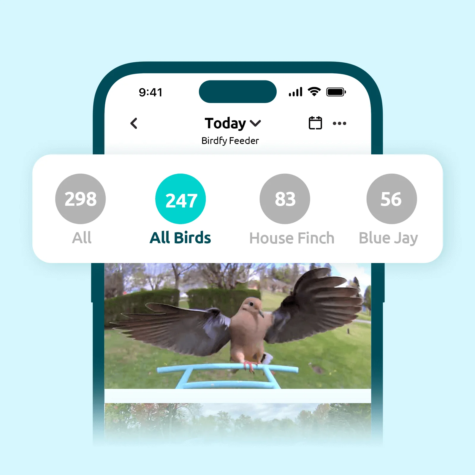 AI Bird Recognition Subscription Plans - Image 4