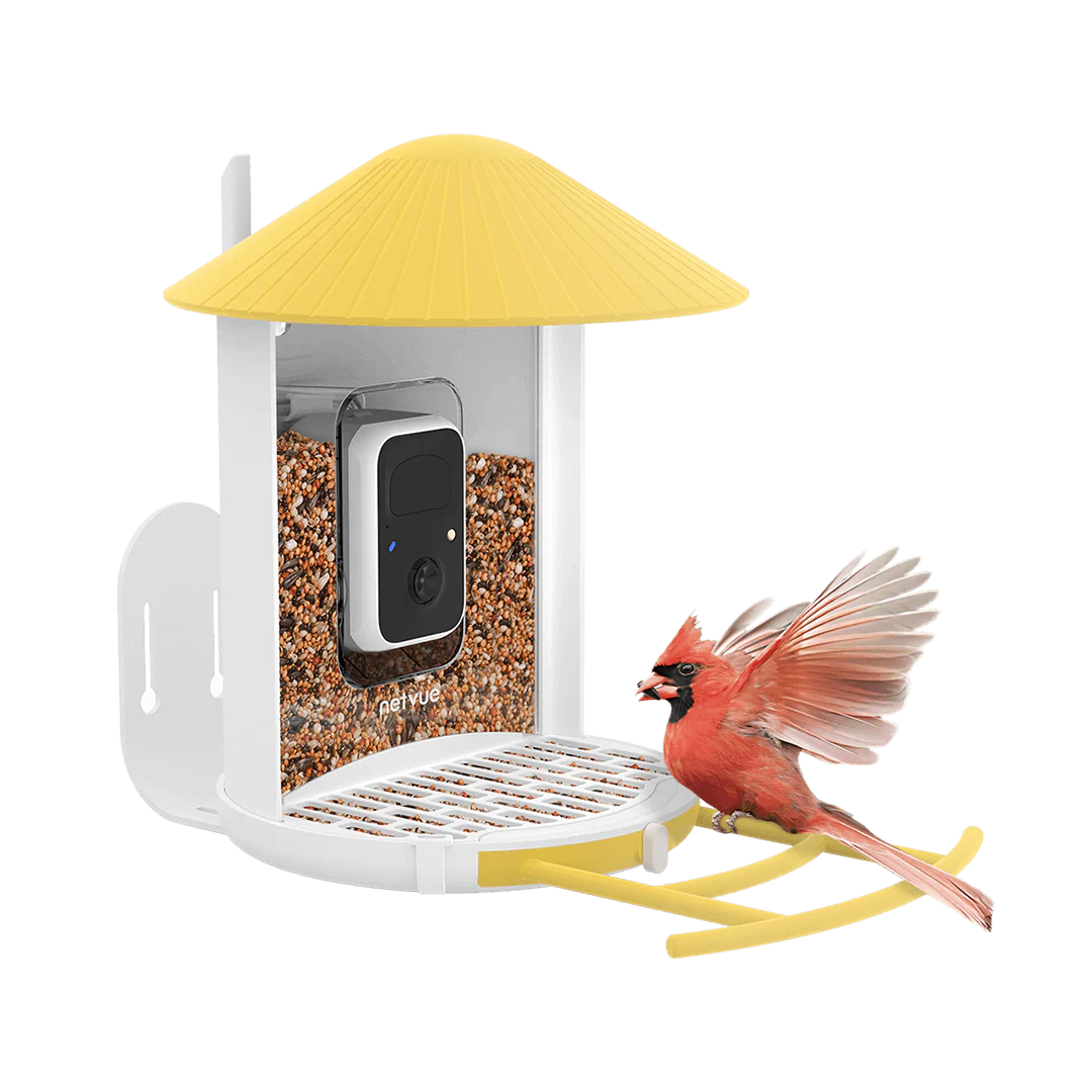 Birdfy Bird Seed Guard - Image 4