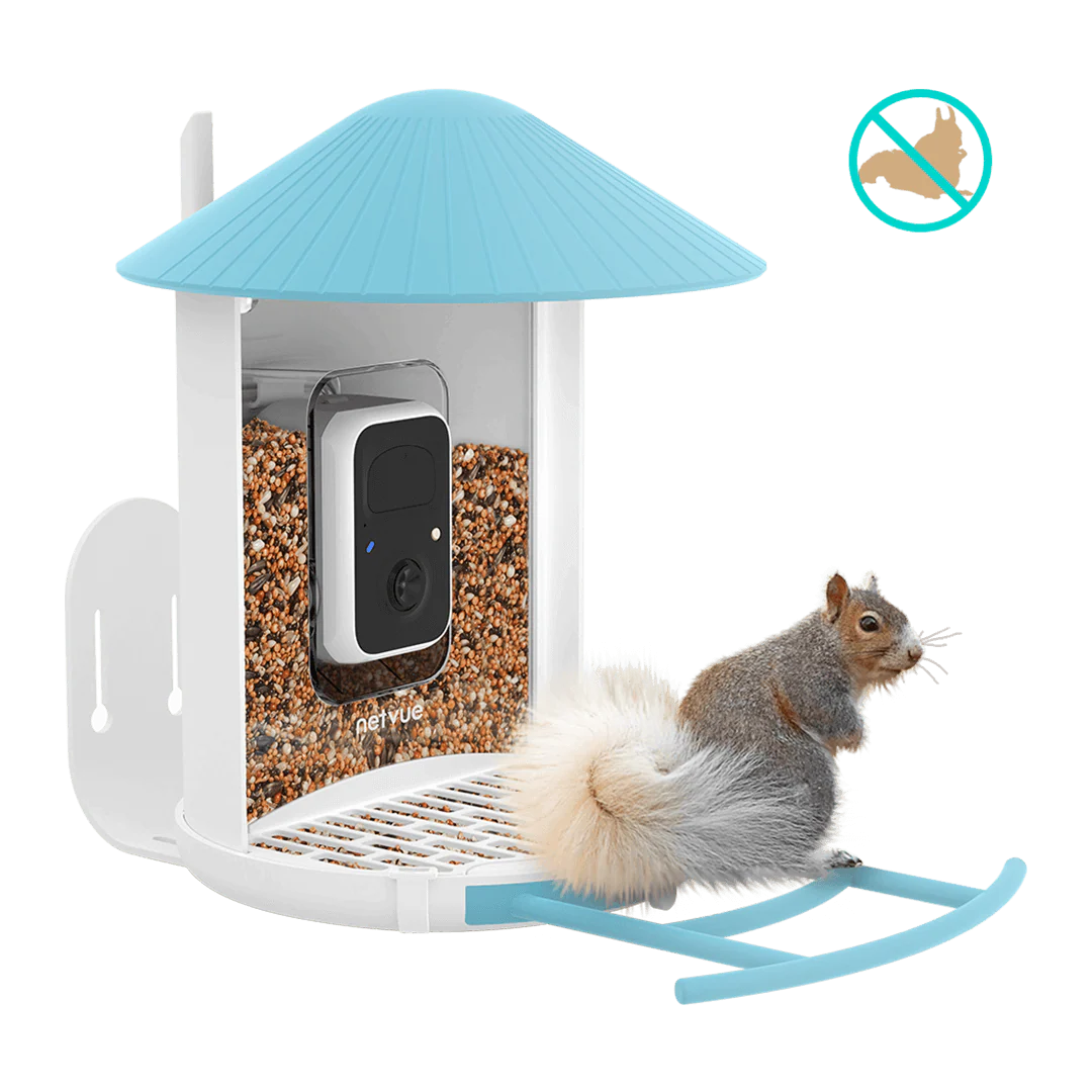 Birdfy Bird Seed Guard - Image 5