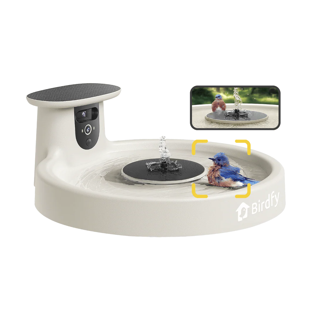 Birdfy Bath Pro - Solar-Powered Smart Birdbath with Fountain - Image 14