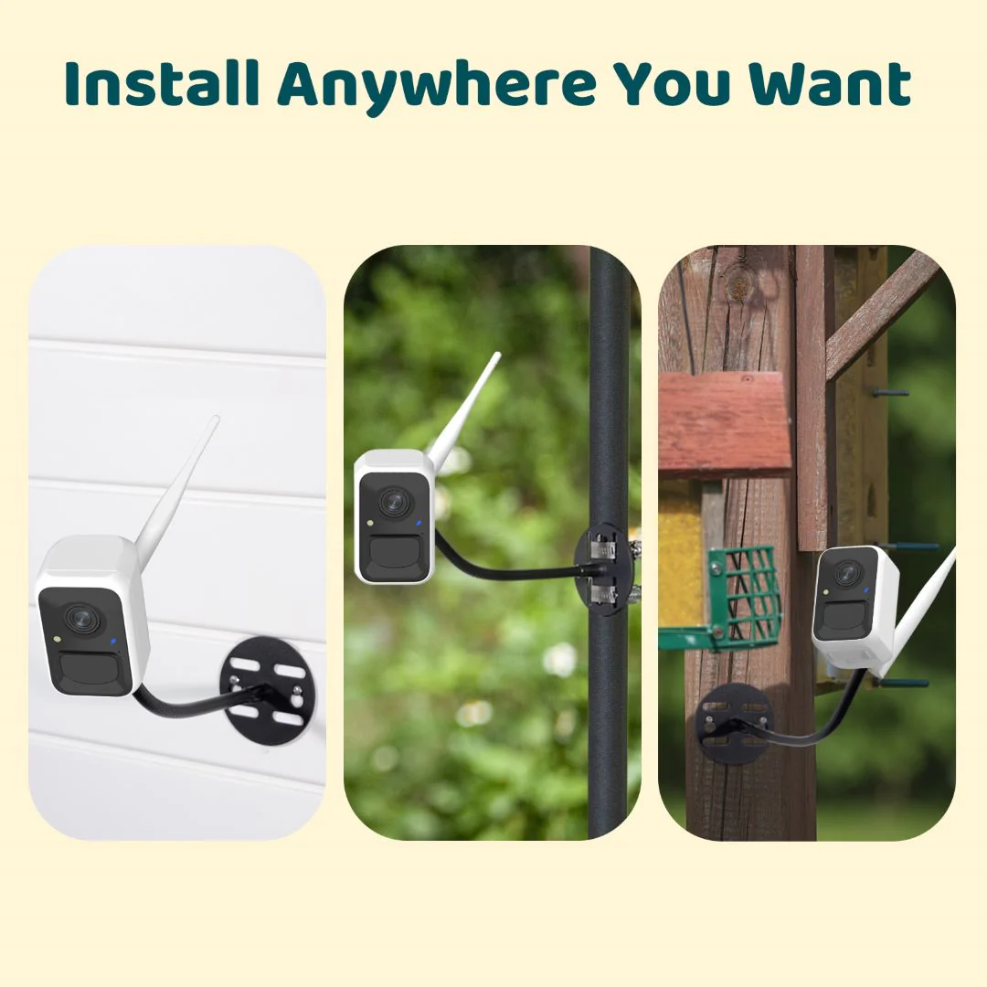 Birdfy Cam - Versatile Standalone Backyard Birdwatching Camera - Image 6