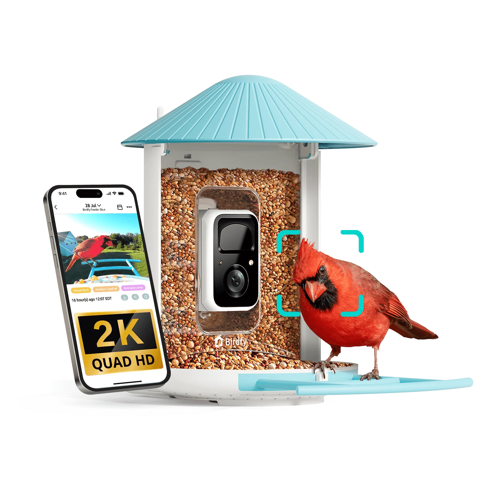 Birdfy Feeder - AI-Powered Smart Bird Feeder with Camera - Image 13