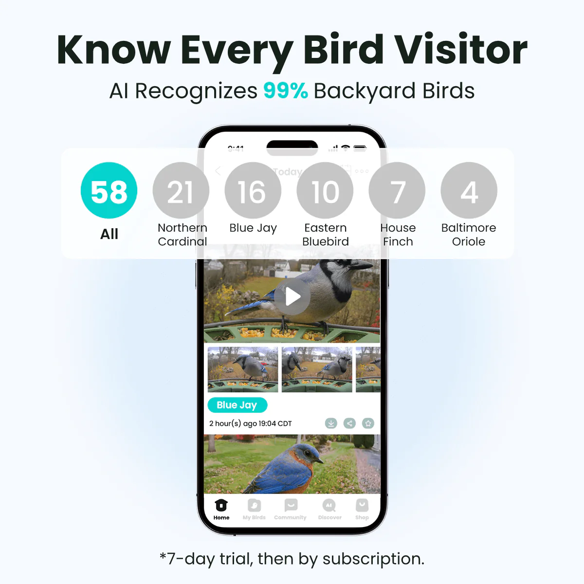 Birdfy Feeder 2 - Smart Bird Feeder - Image 3