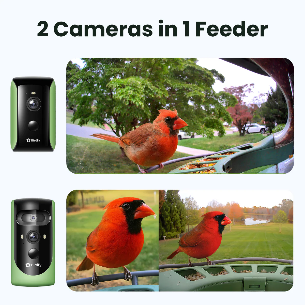 Birdfy Feeder 2 Duo - Triple-Lens Smart Bird Feeder with Cameras - Image 3