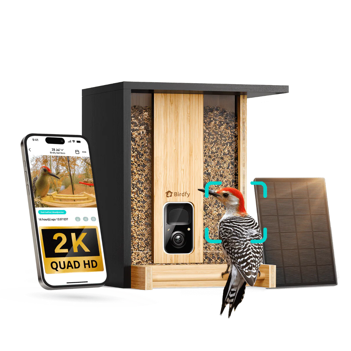 Birdfy Feeder Bamboo - Smart Bird Feeder with Eco-friendly Material - Image 12