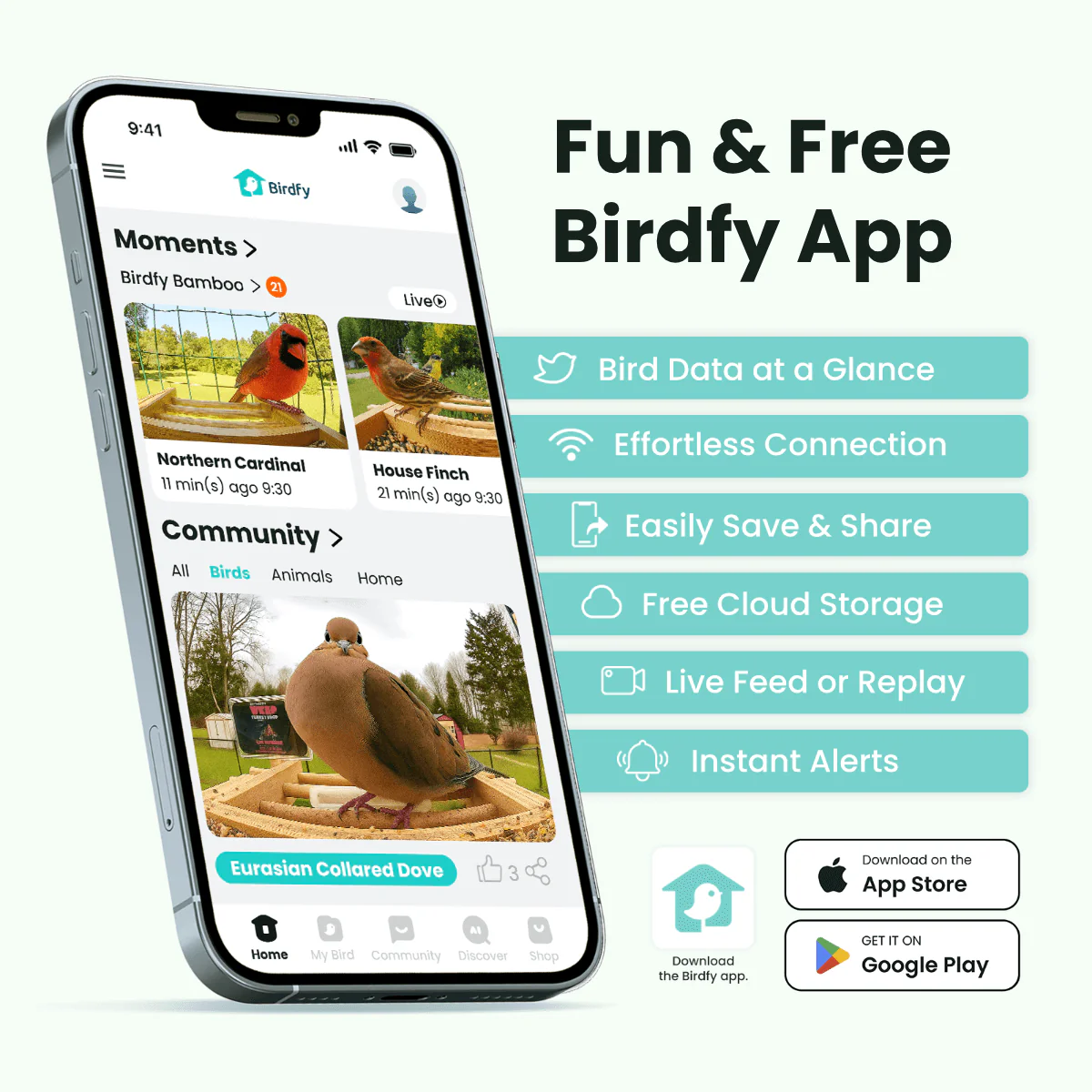 Birdfy Feeder Bamboo - Smart Bird Feeder with Eco-friendly Material - Image 5