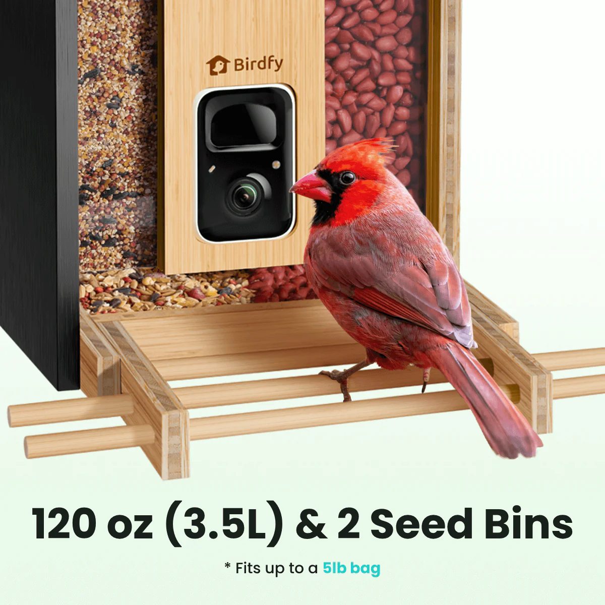 Birdfy Feeder Bamboo - Smart Bird Feeder with Eco-friendly Material - Image 7