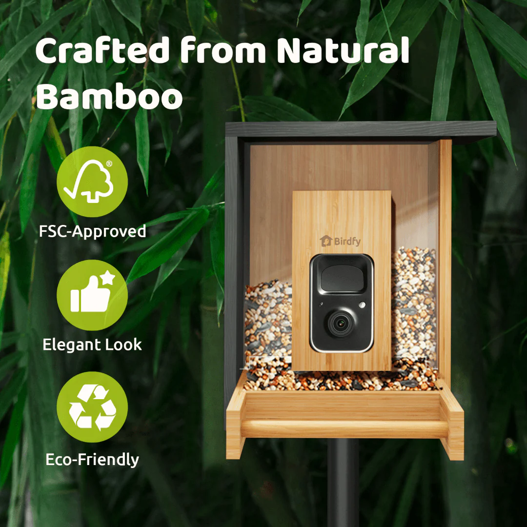 Birdfy Feeder Bamboo Mini - Bird Feeder With Camera - Image 7