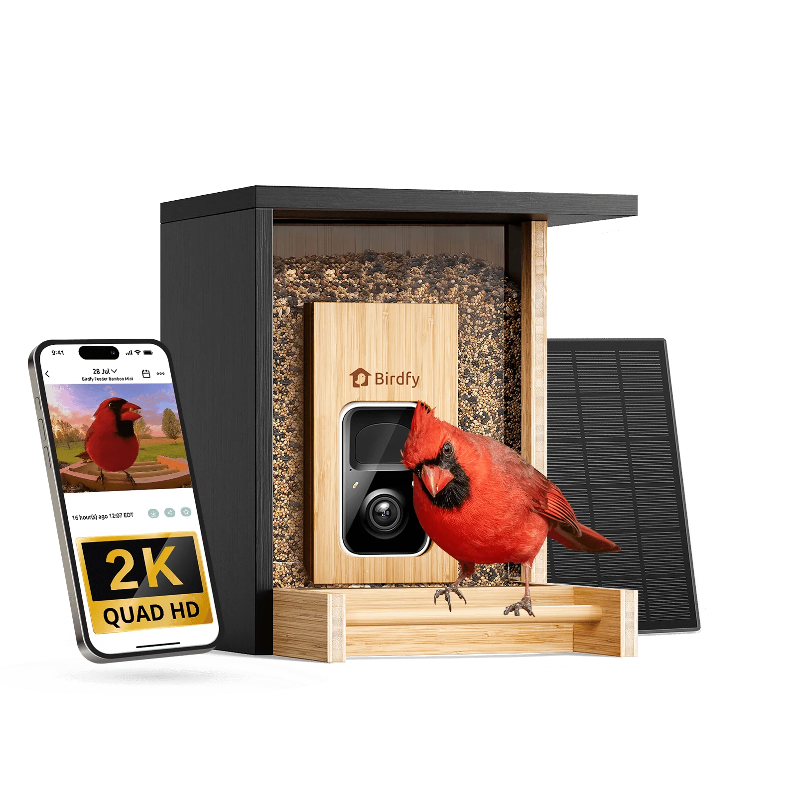 Birdfy Feeder Bamboo Mini - Bird Feeder With Camera - Image 9