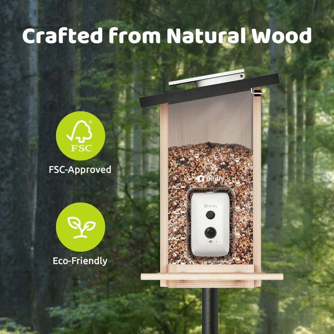 Birdfy Feeder Ebony - Wooden Smart Bird Feeder - Image 6