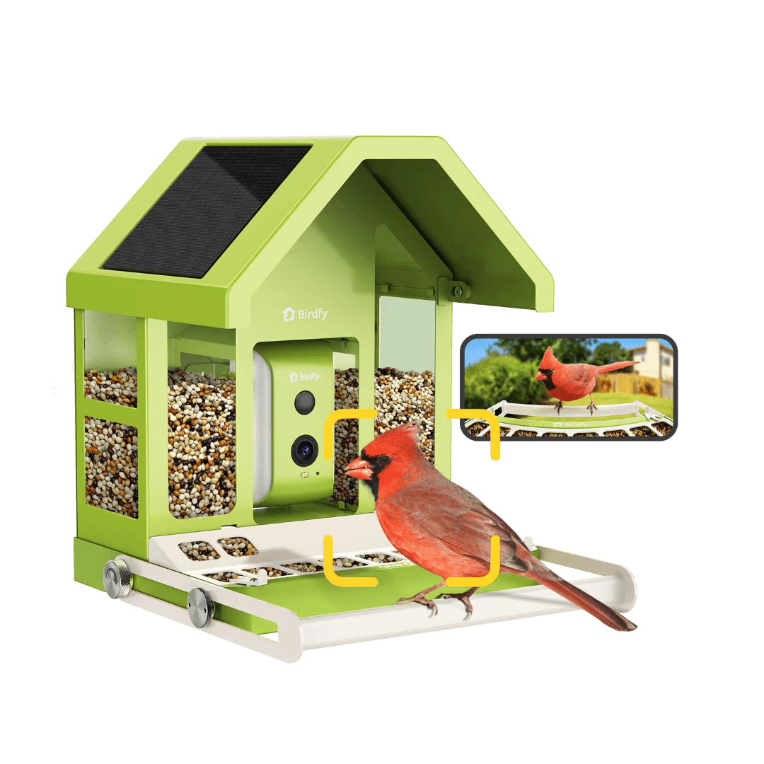 Birdfy Feeder Metal - Smart Metal Feeder with Camera - Image 10