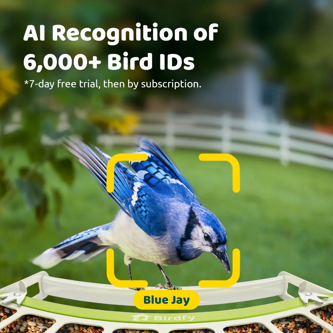 Birdfy Feeder Metal - Smart Metal Feeder with Camera - Image 5