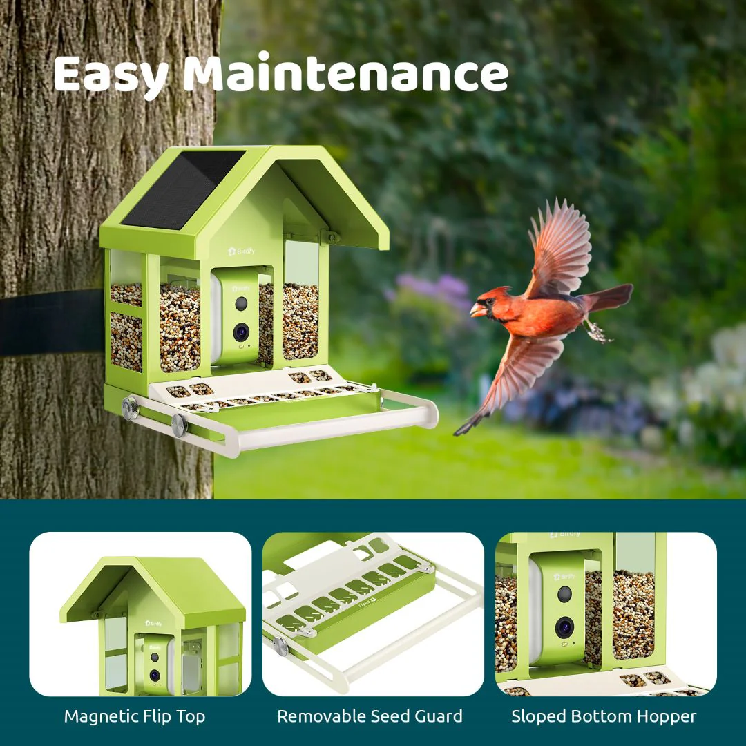 Birdfy Feeder Metal - Smart Metal Feeder with Camera - Image 9