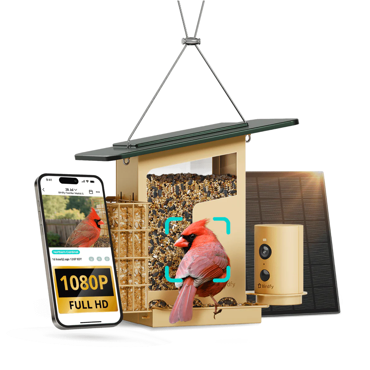 Birdfy Feeder Metal S - Smart Metal Feeder with Camera - Image 12