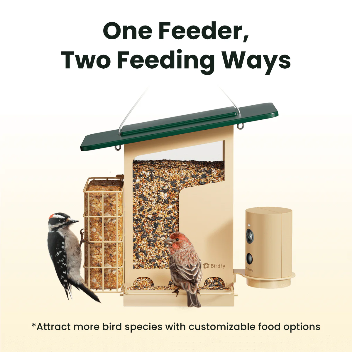 Birdfy Feeder Metal S - Smart Metal Feeder with Camera - Image 3