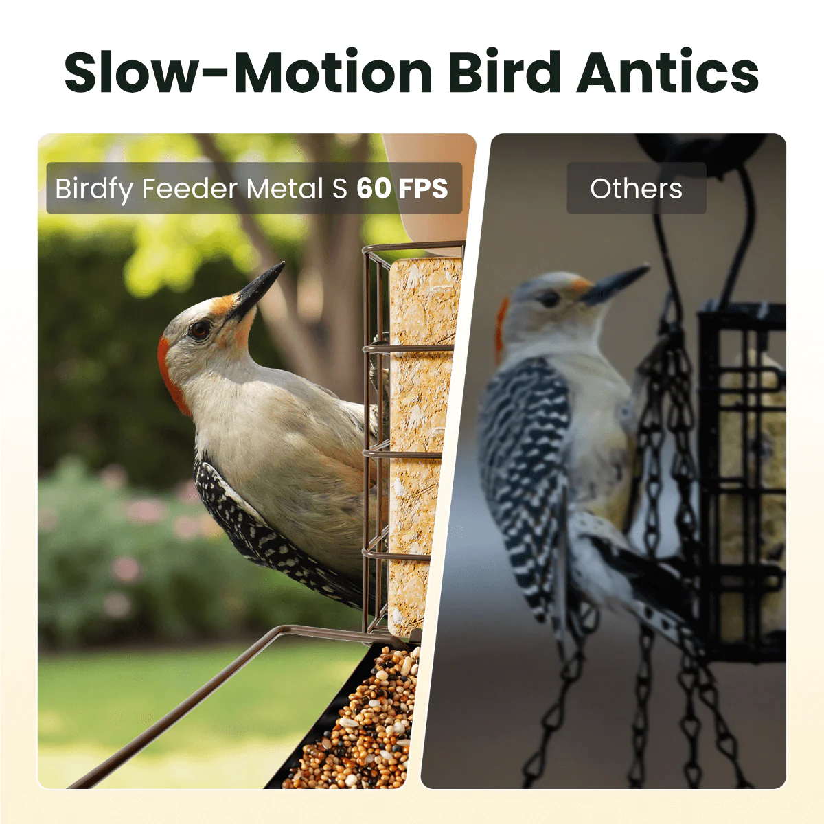 Birdfy Feeder Metal S - Smart Metal Feeder with Camera - Image 7