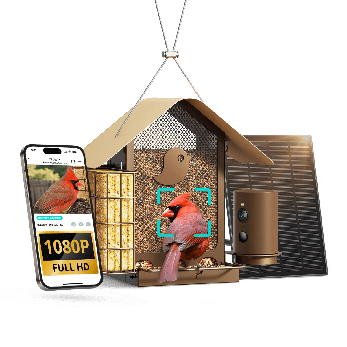 Birdfy Feeder Metal V - Smart Metal Feeder with Camera - Image 13