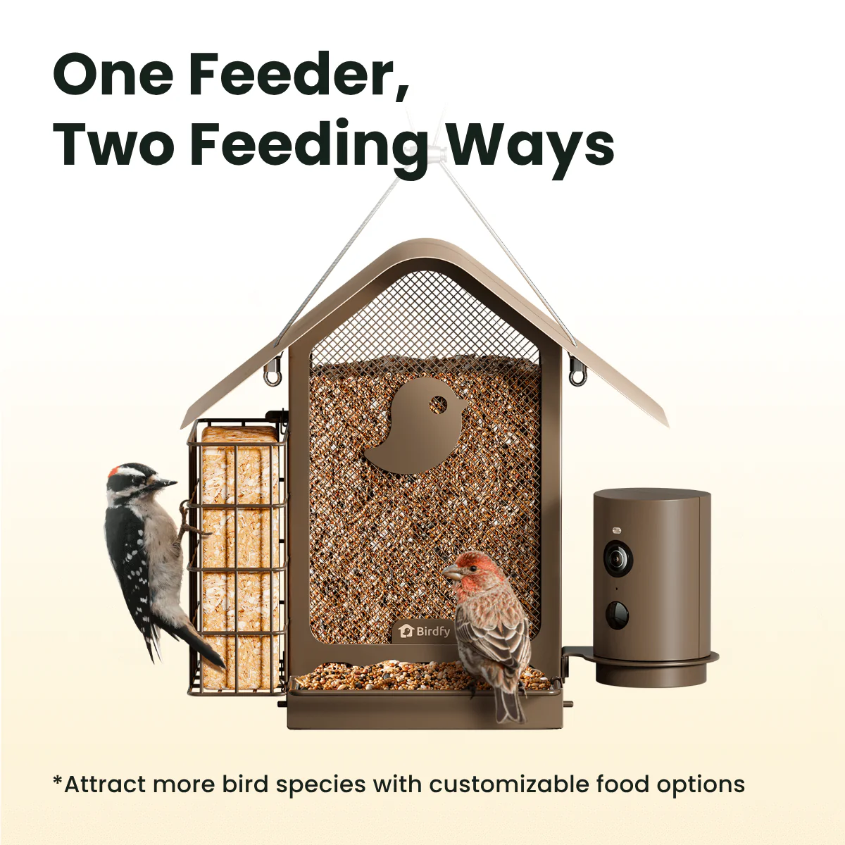 Birdfy Feeder Metal V - Smart Metal Feeder with Camera - Image 3