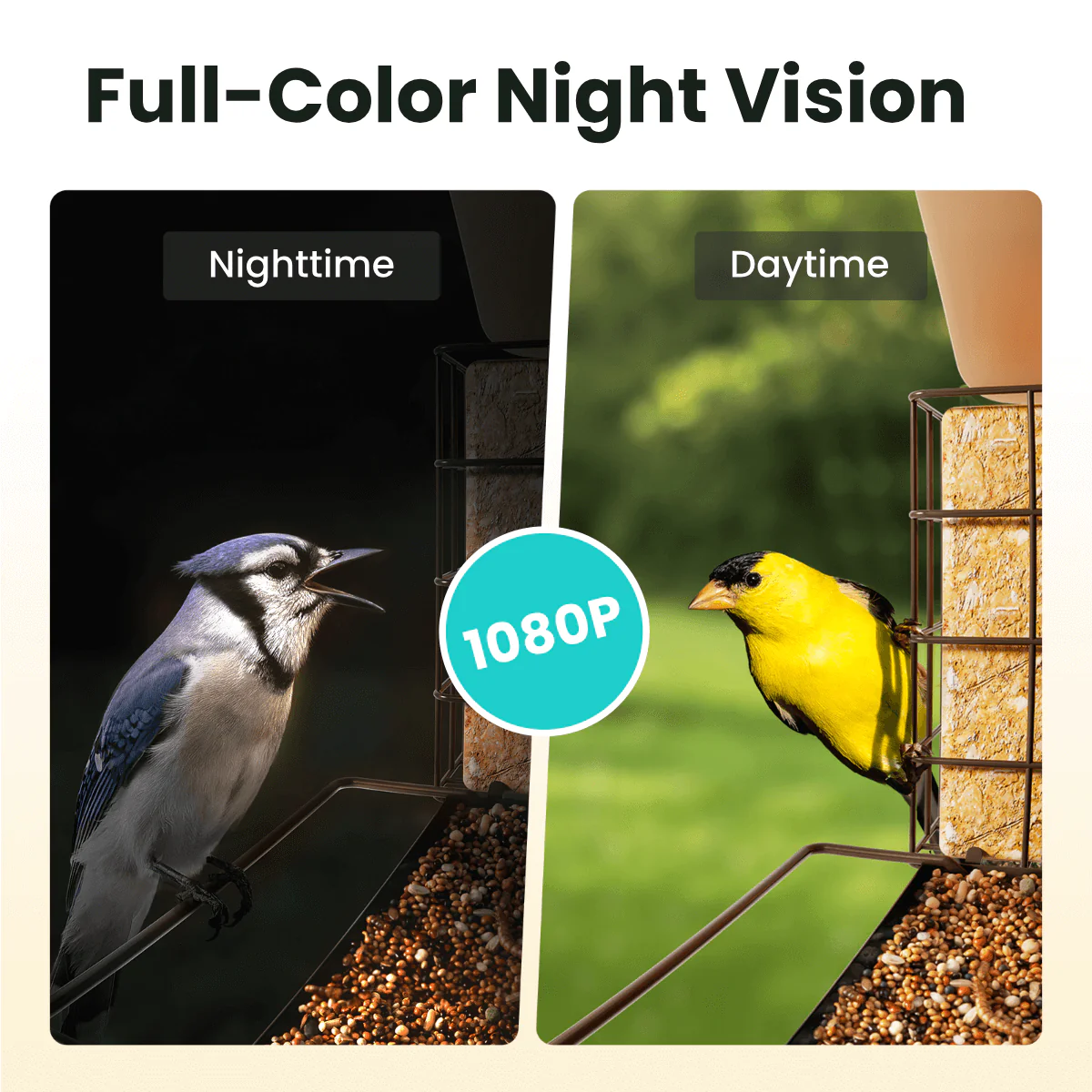 Birdfy Feeder Metal V - Smart Metal Feeder with Camera - Image 4