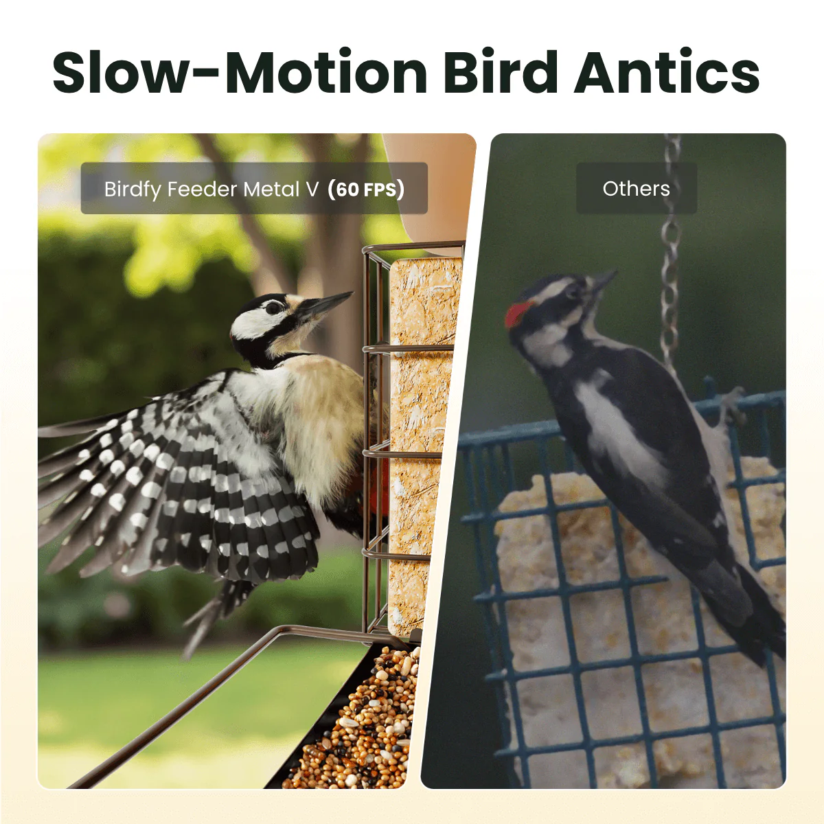 Birdfy Feeder Metal V - Smart Metal Feeder with Camera - Image 8