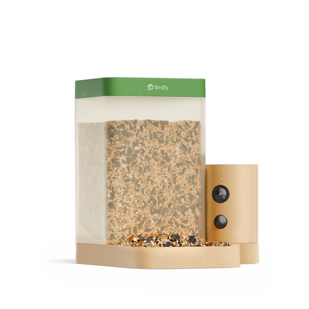 Birdfy Feeder Rookie - Beginner-Friendly Smart Bird Feeder Green