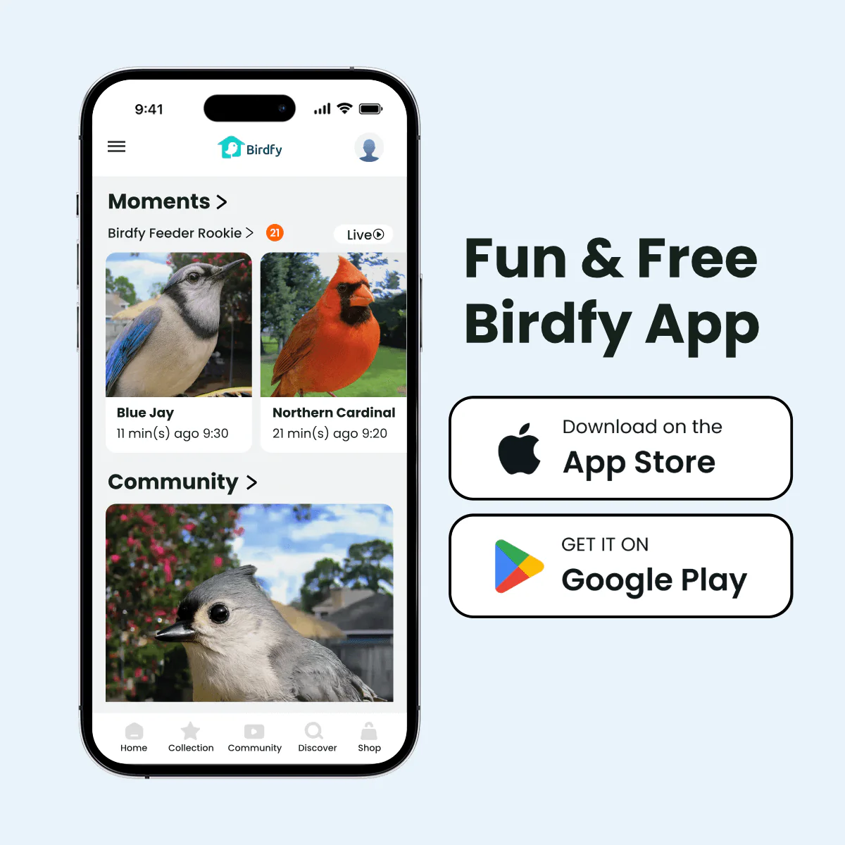 Birdfy Feeder Rookie - Beginner-Friendly Smart Bird Feeder Green - Image 10