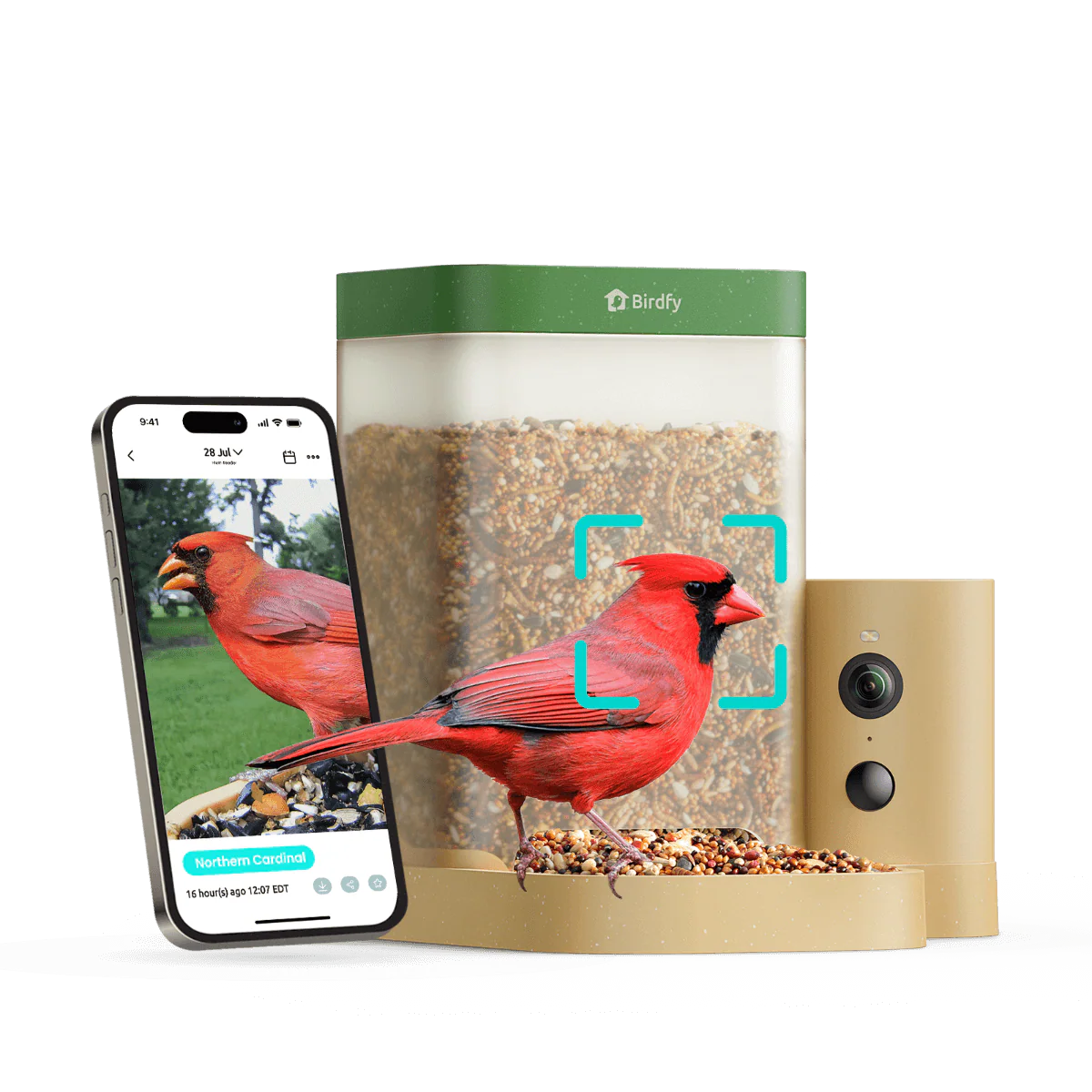 Birdfy Feeder Rookie - Beginner-Friendly Smart Bird Feeder Green - Image 12
