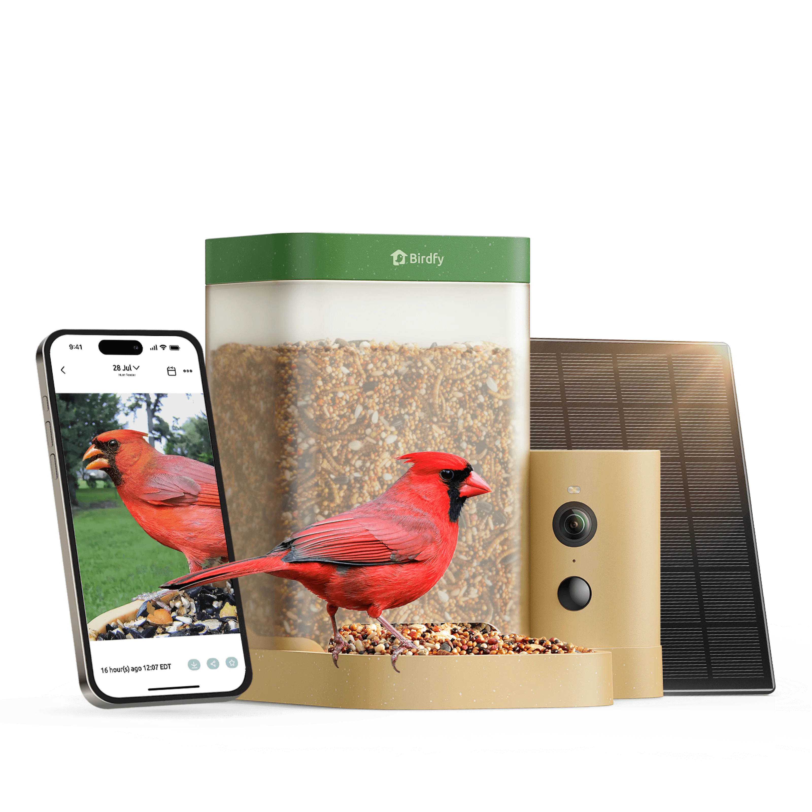 Birdfy Feeder Rookie - Beginner-Friendly Smart Bird Feeder Green - Image 13