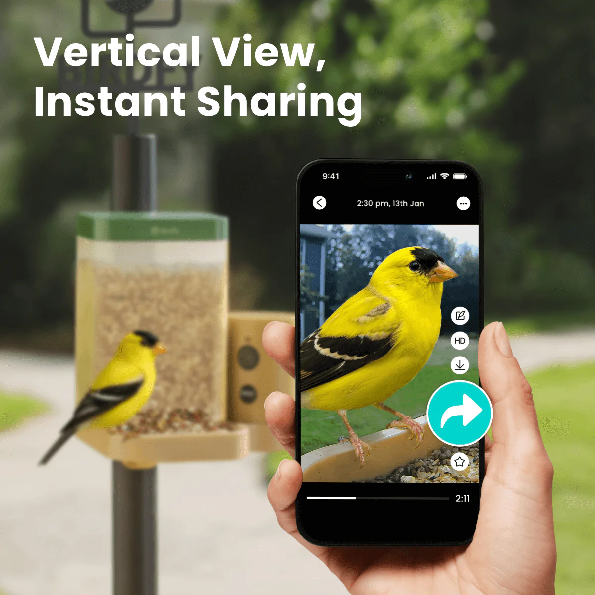 Birdfy Feeder Rookie - Beginner-Friendly Smart Bird Feeder Green - Image 2
