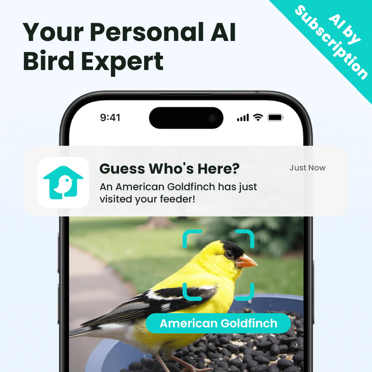 Birdfy Feeder Rookie - Beginner-Friendly Smart Bird Feeder Blue - Image 3