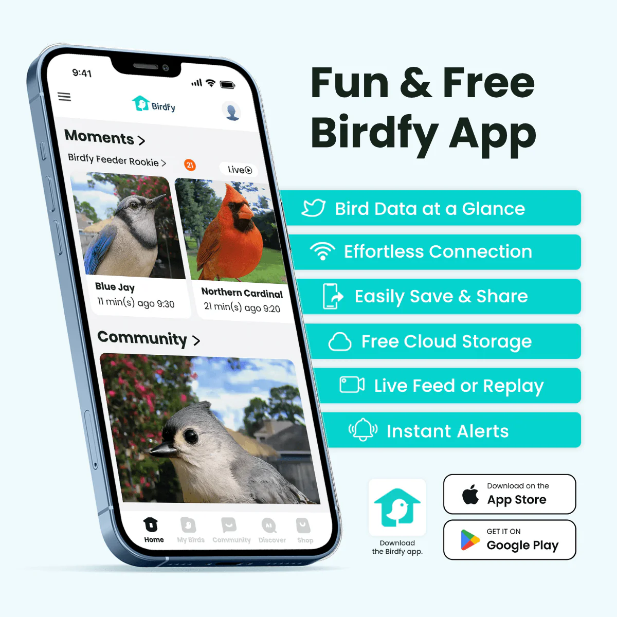 Birdfy Feeder Rookie - Beginner-Friendly Smart Bird Feeder Blue - Image 4