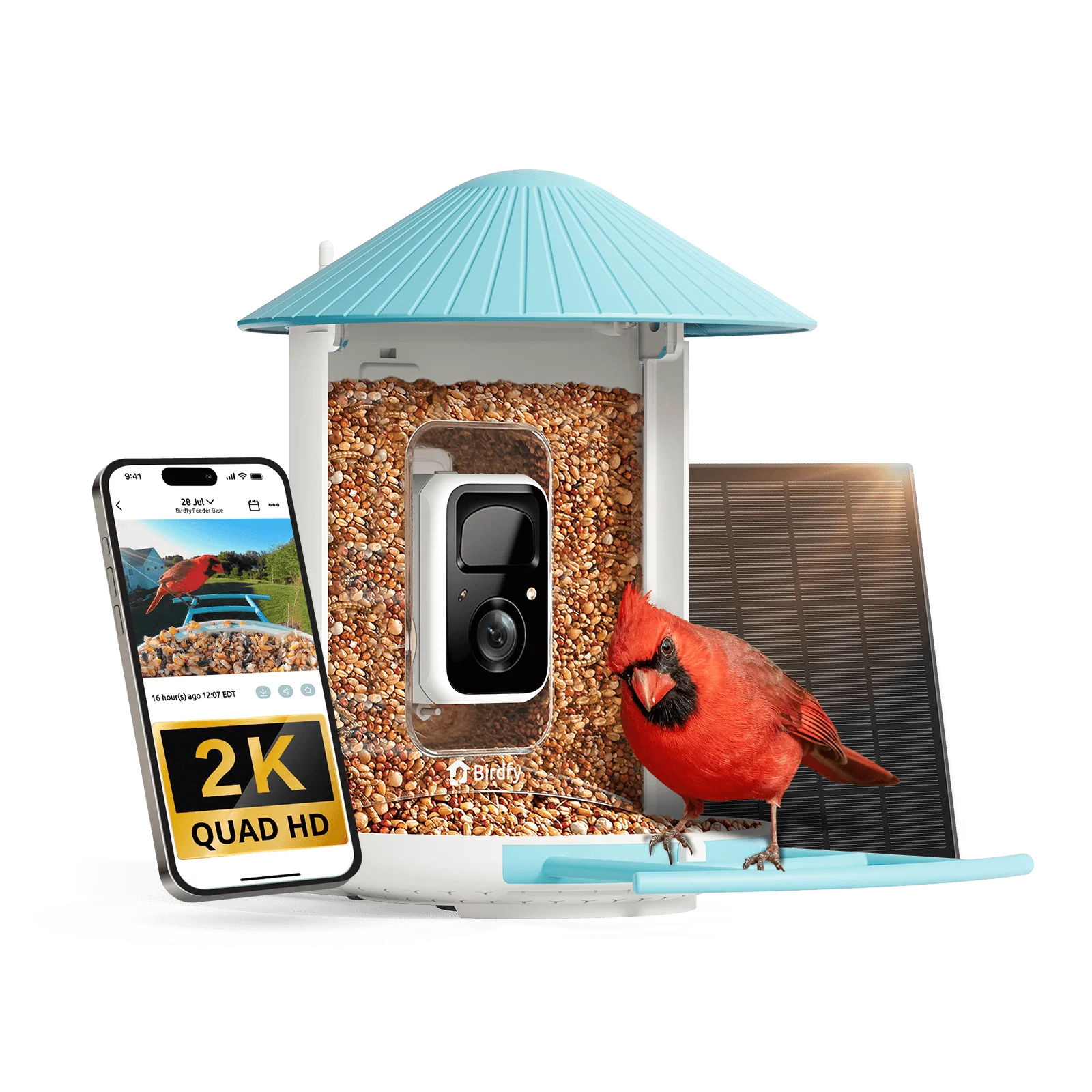 Birdfy Feeder - AI-Powered Smart Bird Feeder with Camera - Image 14