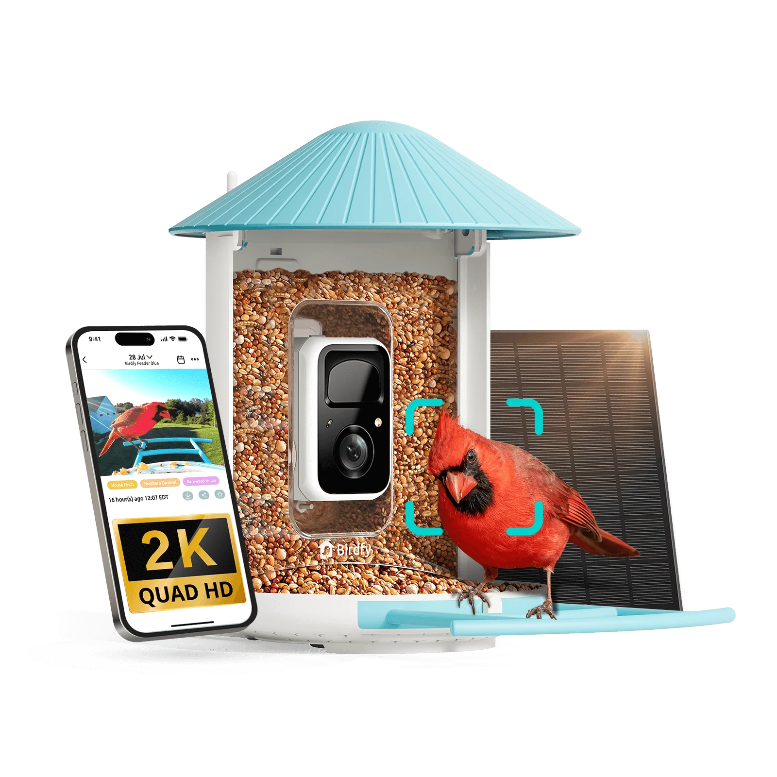 Birdfy Feeder - AI-Powered Smart Bird Feeder with Camera - Image 15