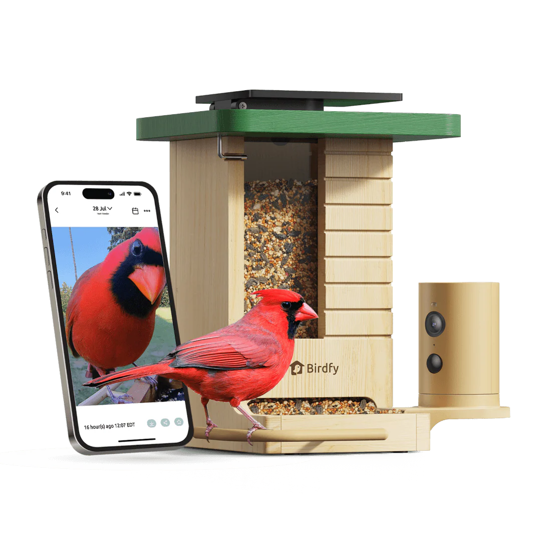 Birdfy Feeder Wood - Wooden Smart Bird Feeder with Camera - Image 12