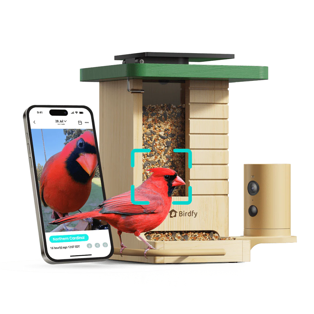 Birdfy Feeder Wood - Wooden Smart Bird Feeder with Camera - Image 13