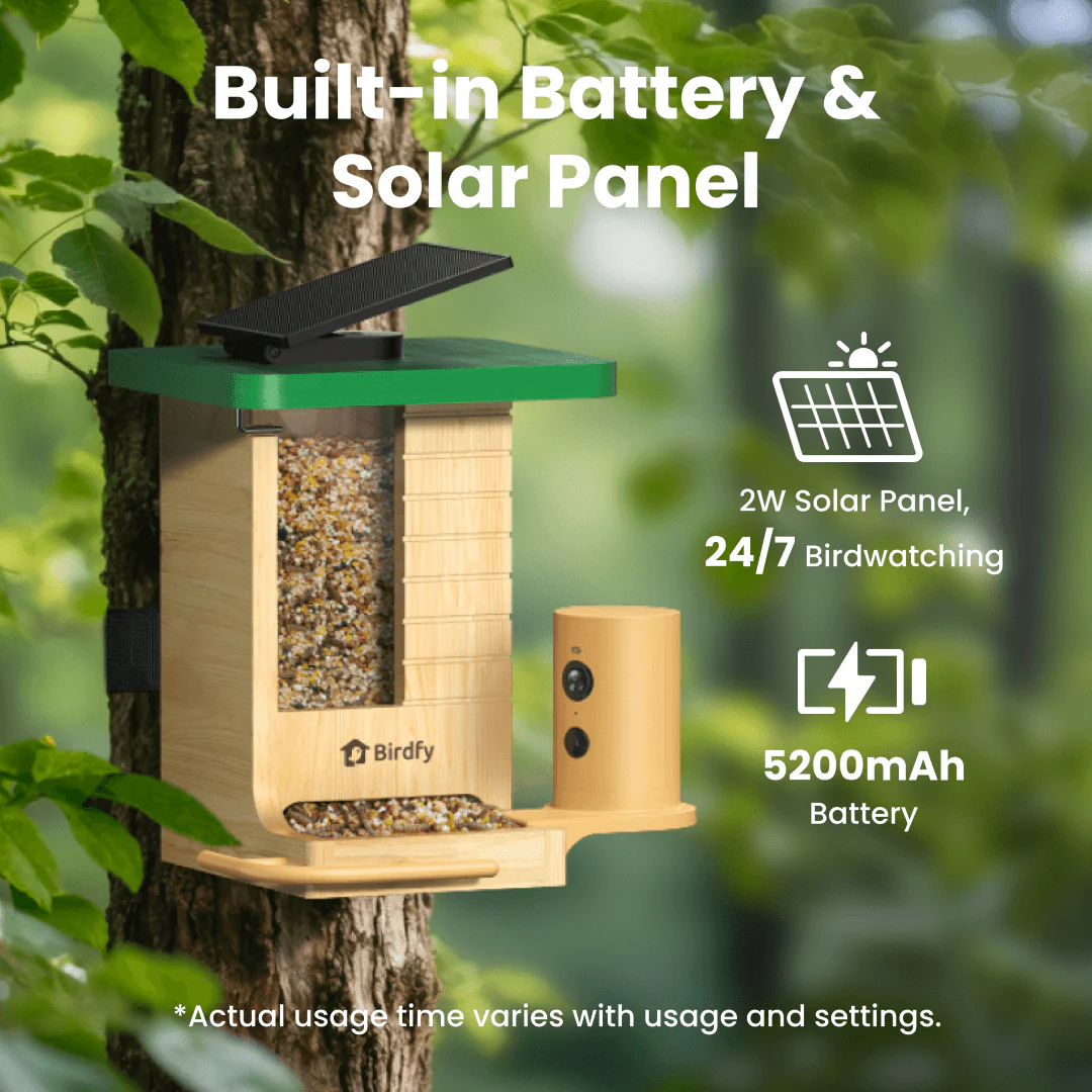Birdfy Feeder Wood - Wooden Smart Bird Feeder with Camera - Image 7
