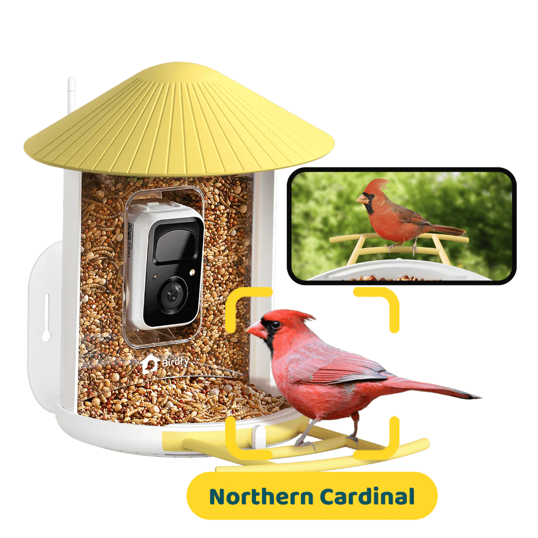 Birdfy Feeder - AI-Powered Smart Bird Feeder with Camera-Yellow - Image 12