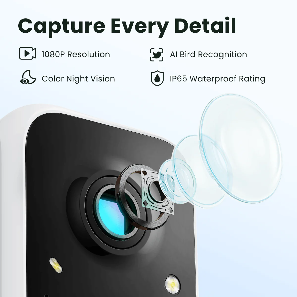 Birdfy Feeder - AI-Powered Smart Bird Feeder with Camera - Image 4