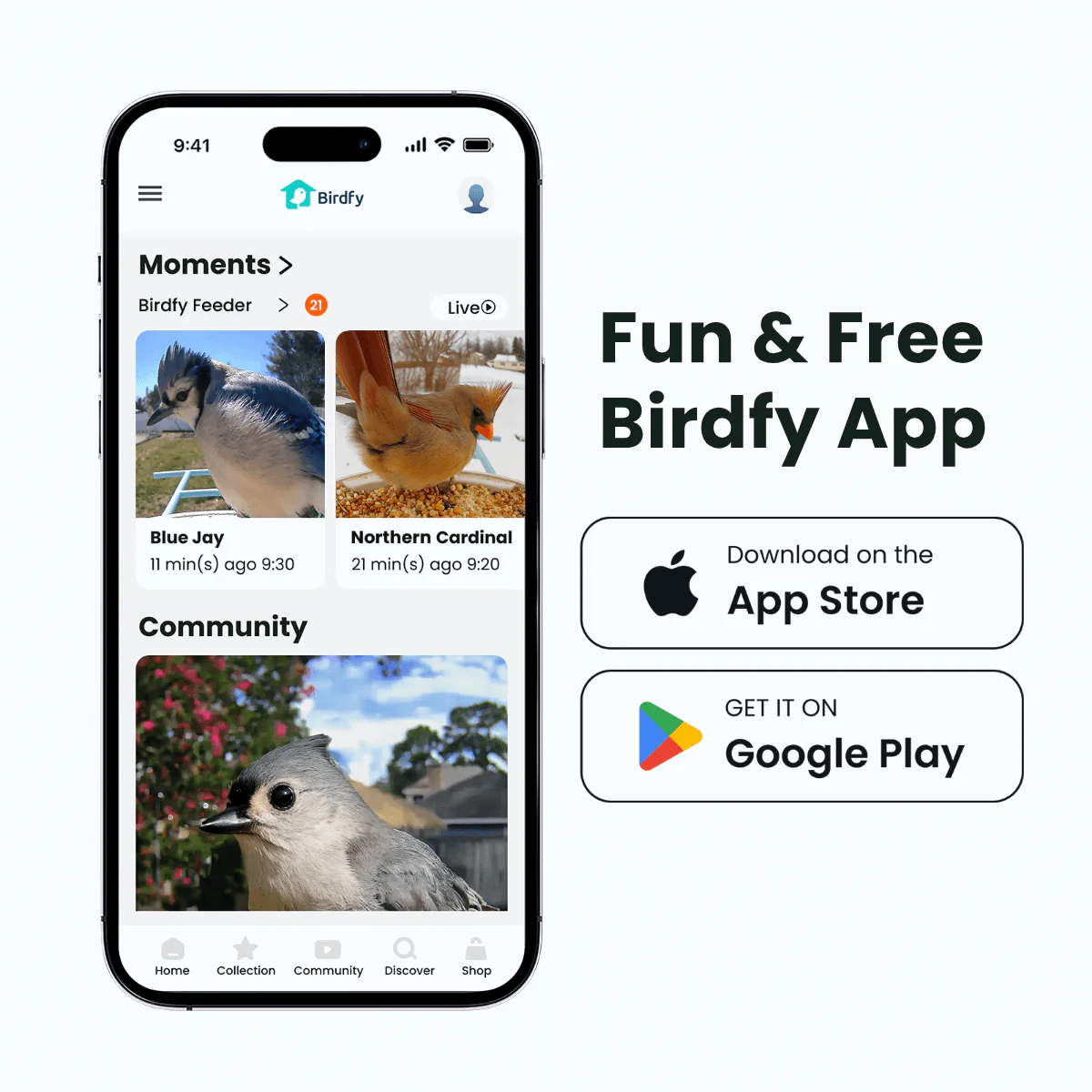 Birdfy Feeder - AI-Powered Smart Bird Feeder with Camera - Image 5