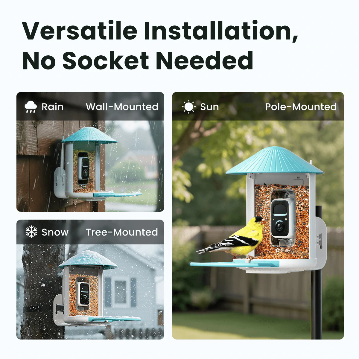 Birdfy Feeder - AI-Powered Smart Bird Feeder with Camera - Image 6