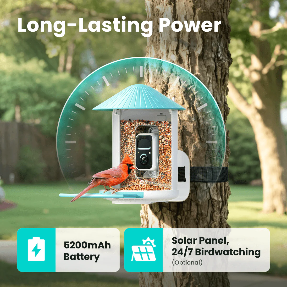 Birdfy Feeder - AI-Powered Smart Bird Feeder with Camera - Image 7