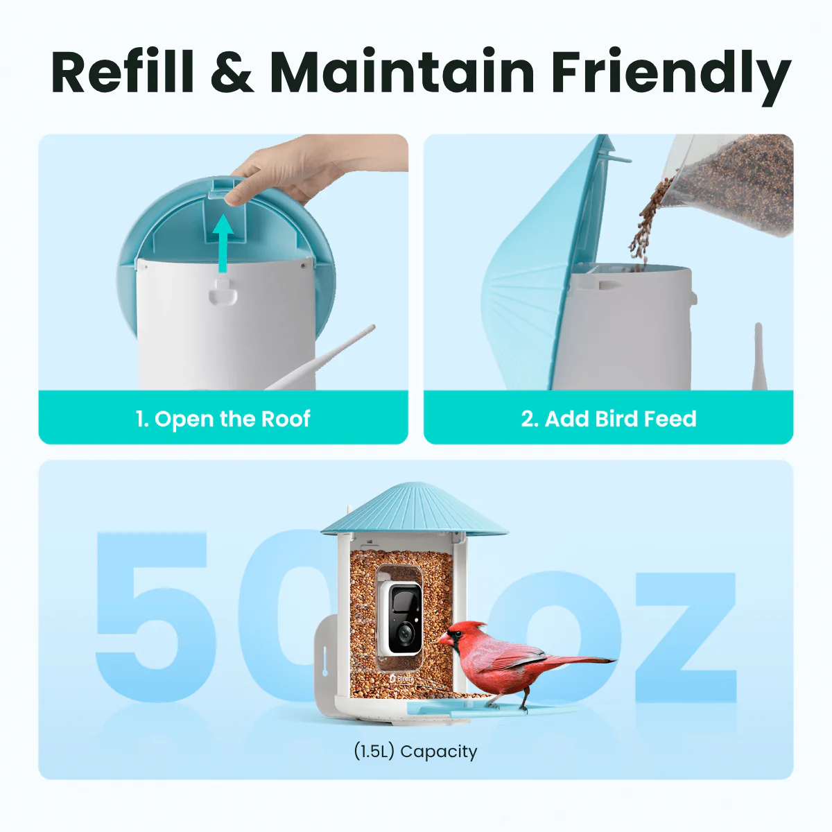 Birdfy Feeder - AI-Powered Smart Bird Feeder with Camera - Image 8