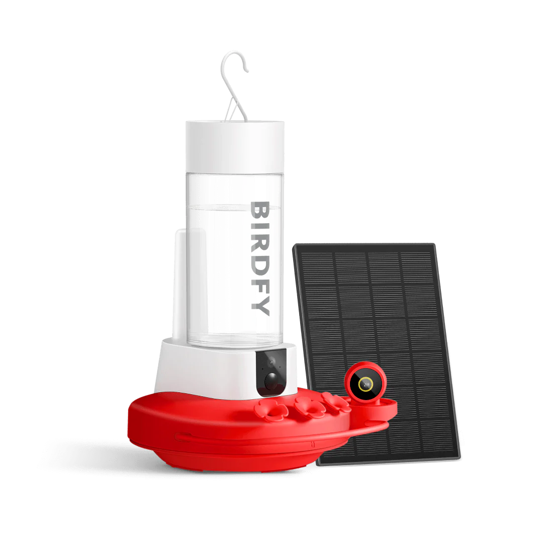 Birdfy Hum Feeder Duo - Hummingbird Feeder with Dual Camera - Image 11