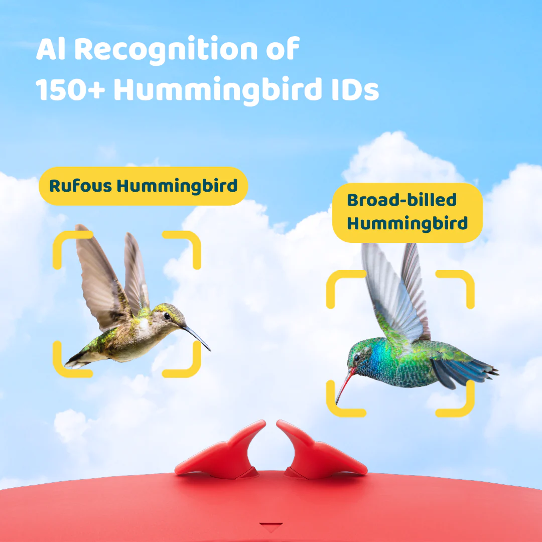 Birdfy Hum Feeder - Hummingbird Feeder with Camera - Image 3