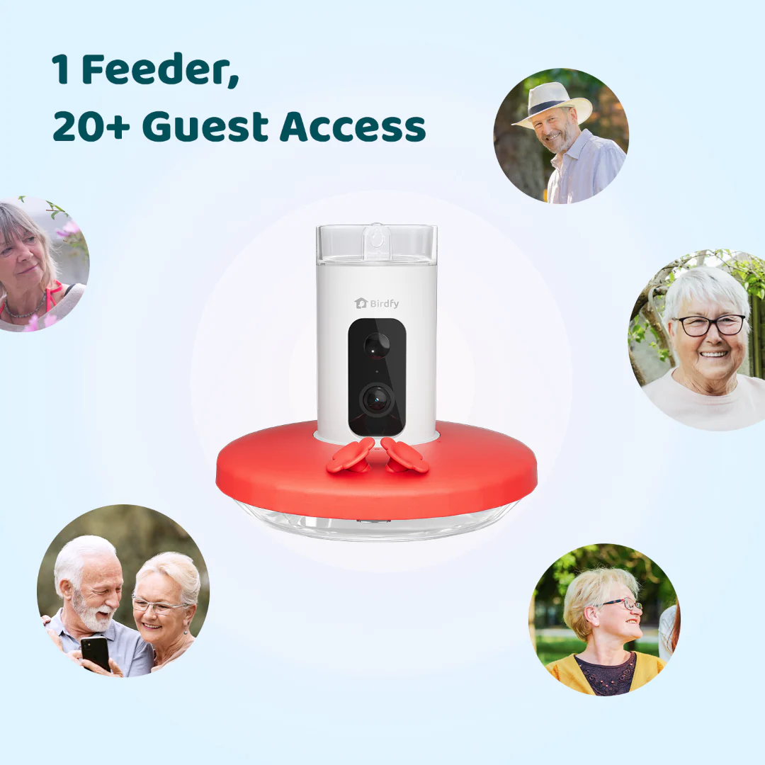 Birdfy Hum Feeder - Hummingbird Feeder with Camera - Image 9
