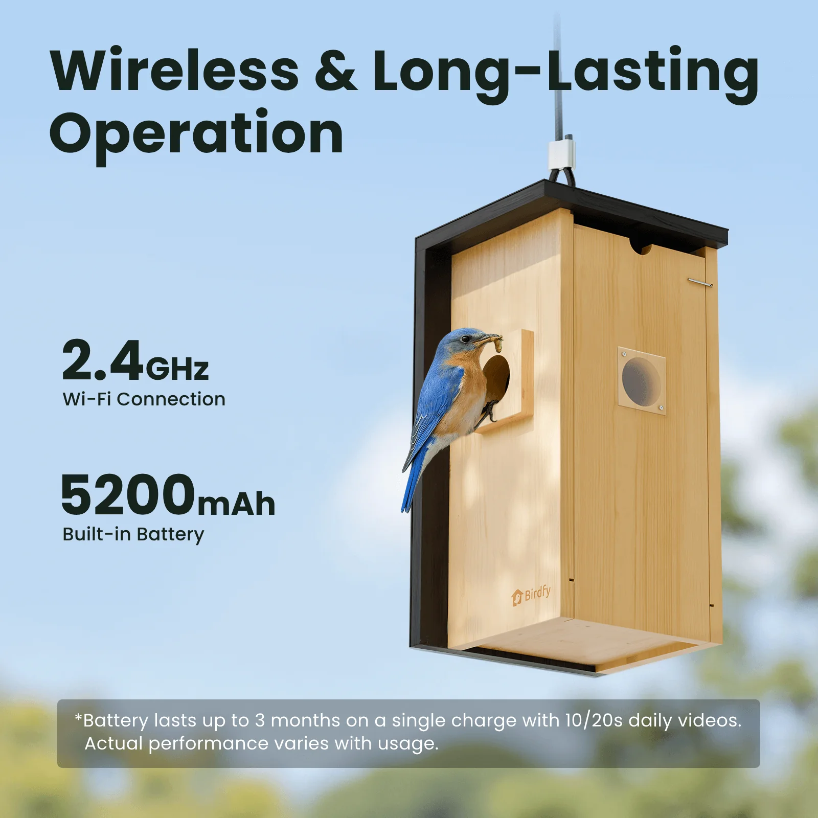 Birdfy Nest - Wooden Smart Birdhouse with Camera - Image 5