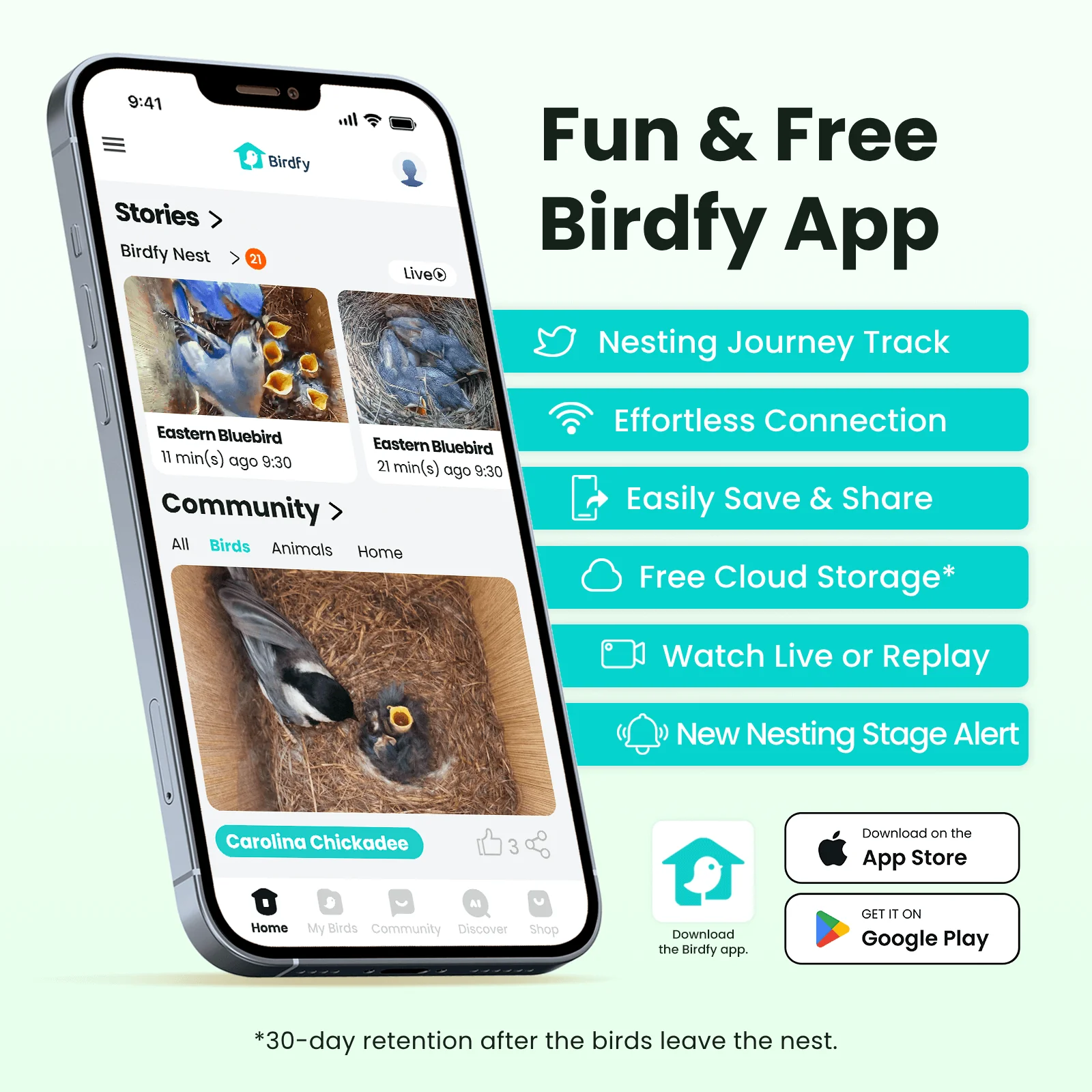 Birdfy Nest - Wooden Smart Birdhouse with Camera - Image 6