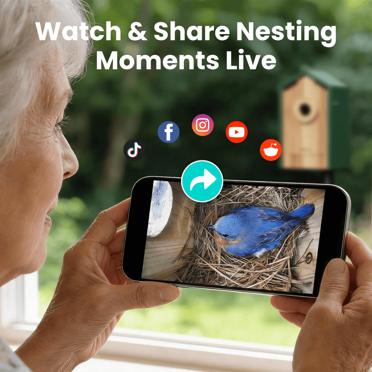 Birdfy Nest Cedar - Smart Bird House with Camera - Image 10