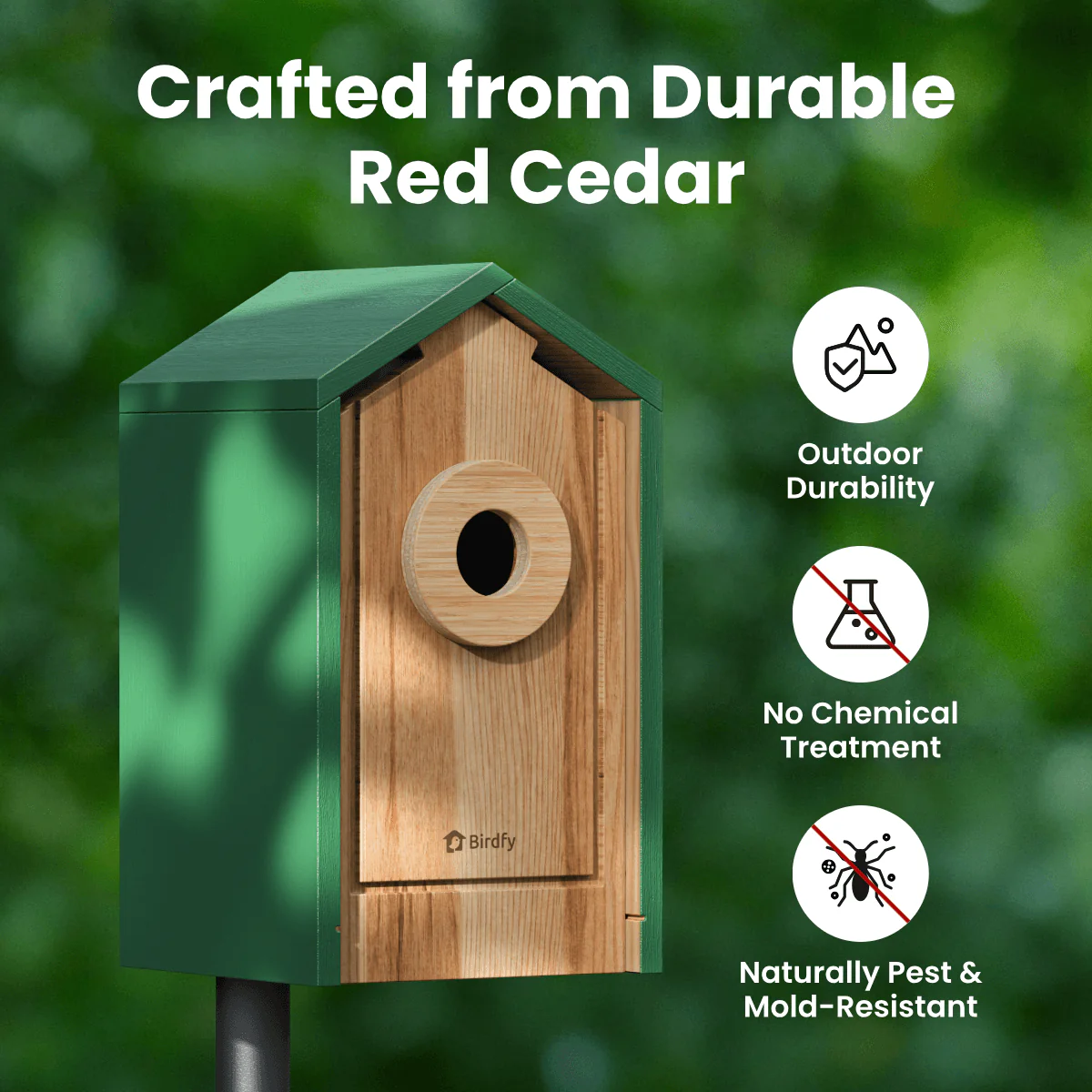 Birdfy Nest Cedar - Smart Bird House with Camera - Image 2