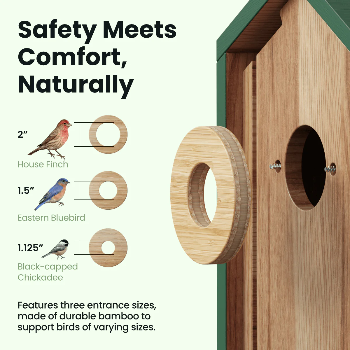 Birdfy Nest Cedar - Smart Bird House with Camera - Image 3